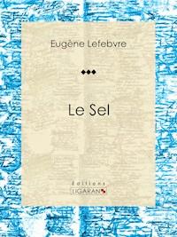Le sel - Ligaran - ebook