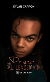 Du jour au lendemain - Dylan Capron - ebook