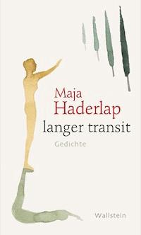 langer transit - Maja Haderlap - ebook