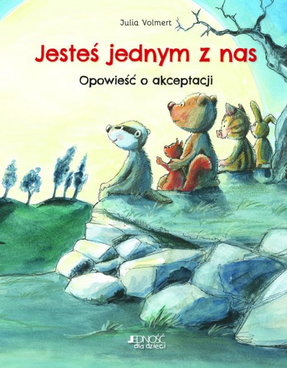 Jesteś jednym z nas. Opowieść o akceptacji - Julia Volmert - książka