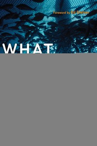 What Jesus Started - Steve Addison - ebook