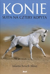 Konie Suita na cztery kopyta - Jolanta Reisch-Klose - książka