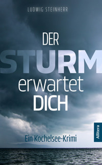 Der Sturm erwartet dich - Ludwig Steinherr - ebook