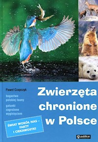 Zwierzęta chronione w Polsce - Czapczyk Paweł - ebook + książka
