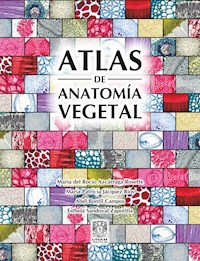 Atlas de anatomía vegetal - María Rocío Azcárraga del Rosette - ebook