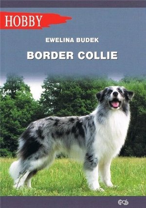 Border Collie - Ewelina Budek - książka