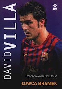 David Villa Łowca bramek - Diaz Francisco Javier - książka