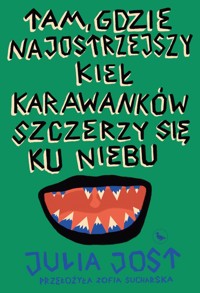 Tam, gdzie najostrzejszy kieł Karawanków szczerzy się ku niebu - Julia Jost - ebook + książka