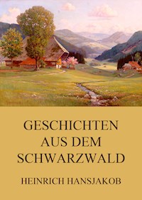 Geschichten aus dem Schwarzwald - Heinrich Hansjakob - ebook