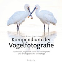 Kompendium der Vogelfotografie - Daan Schoonhoven - ebook