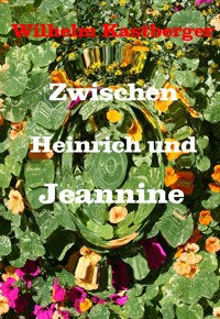 Zwischen Heinrich und Jeanniene - Wilhelm Kastberger - ebook