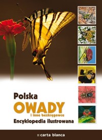 Polska Owady i inne bezkręgowce Encyklopedia ilustrowana -  - książka