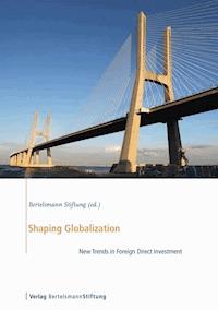 Shaping Globalization -  - ebook