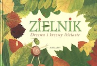 Zielnik Drzewa i krzewy liściaste - Rekłajtis-Zawada Agnieszka, Kazubek Tadeusz - książka
