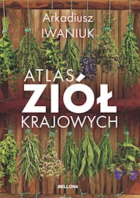 Atlas ziół krajowych - Iwaniuk Arkadiusz - książka