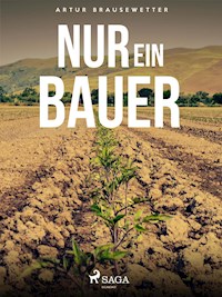 Nur ein Bauer - Artur Brausewetter - ebook