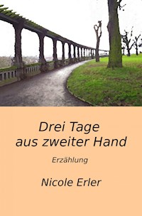 Drei Tage aus zweiter Hand - Nicole Erler - ebook