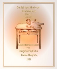 Da fiel das Kind vom Küchentisch - Brigitte Perkuhn - ebook