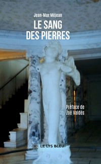 Le sang des pierres - Jean-Max Méjean - ebook