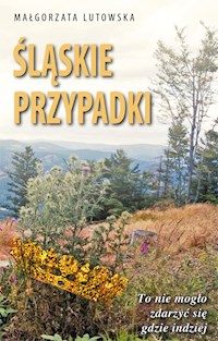 Śląskie przypadki. To nie mogło zdarzyć się gdzie indziej - Lutowska Małgorzata - audiobook
