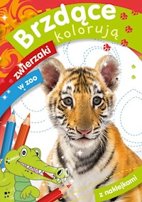 Brzdące kolorują zwierzaki w zoo - Zofia Zabrzeska - książka