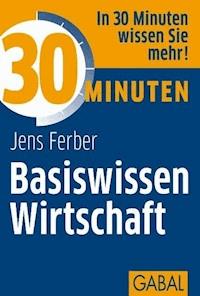 30 Minuten Basiswissen Wirtschaft - Jens Ferber - ebook