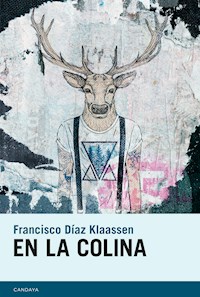 En la colina - Francisco Díaz Klaassen - ebook