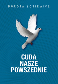 Cuda nasze powszednie - Dorota Łosiewicz - ebook + książka