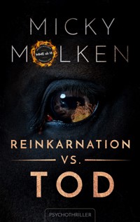 Reinkarnation vs. Tod - Micky Molken - ebook
