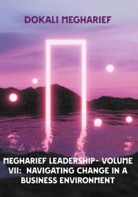 MEGHARIEF LEADERSHIP- VOLUME VII: Navigating Change in a Business Environment - Dokali Megharief - ebook