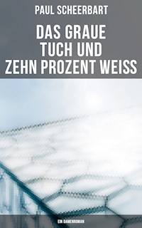 Das graue Tuch und zehn Prozent Weiß: Ein Damenroman - Paul Scheerbart - ebook