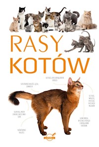 Rasy kotów -  - książka