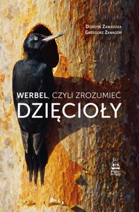 Werbel, czyli zrozumieć dzięcioły - Dorota Zawadzka Grzegorz Zawadzki  - ebook