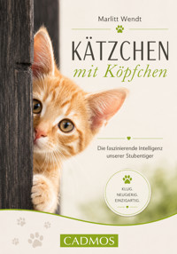 Kätzchen mit Köpfchen - Marlitt Wendt - ebook