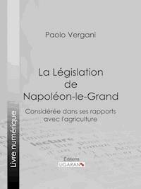 La Législation de Napoléon-le-Grand - Paolo Vergani - ebook
