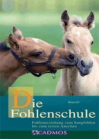 Die Fohlenschule - Ettl Renate - ebook