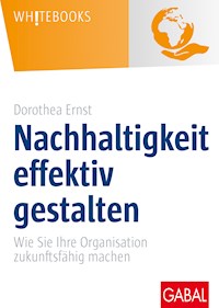 Nachhaltigkeit effektiv gestalten - Dorothea Ernst - ebook