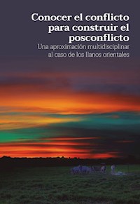 Conocer el conflicto para construir el posconflicto - Paula Ariadna Corzo Pérez - ebook