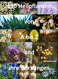 Was sind Heilpflanzen und ihre Wirkungen? - Martina Kloss - ebook