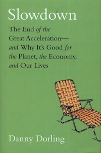 Slowdown - Dorling Danny - książka