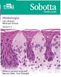 Sobotta Flashcards. Histologia - L. Bräuer, M. Scholz - książka