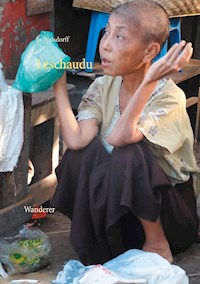 Leschaudu - Jo Walsdorff - ebook