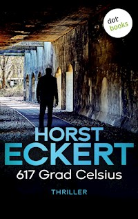617 Grad Celsius - Horst Eckert - ebook