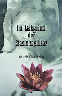 Im Labyrinth der Seelensplitter - Carlaria Silverlining - ebook