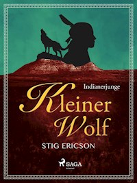 Indianerjunge Kleiner Wolf - Stig Ericson - ebook