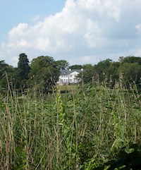 Vinz - Ingo T. Herzig - ebook