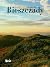 Bieszczady - Włodek Biliński, Agnieszka Bilińska - książka