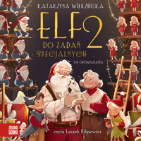 Elf do zadań specjalnych 2 - Wierzbicka Katarzyna - audiobook + książka
