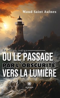 La vie en indigo ou le passage par l’obscurité vers la lumière - Maud Saint Aulnes - ebook