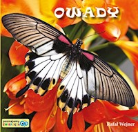 Owady Poznajemy zwierzęta - Wejner Rafał - książka